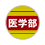 LinkIcon